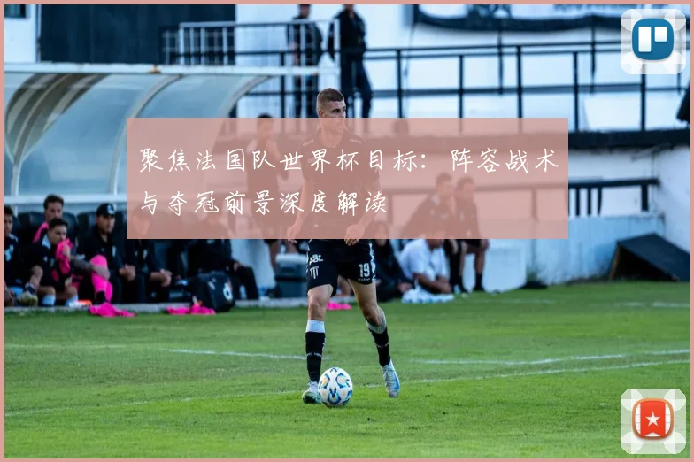 聚焦法国队世界杯目标：阵容战术与夺冠前景深度解读